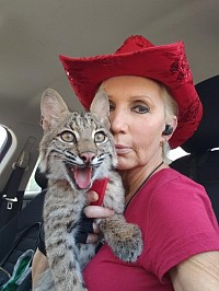 Tyler the Bobcat and his mommy Moon