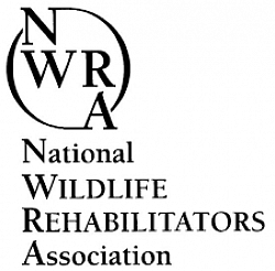 National Wildlife Rehabilitators Association