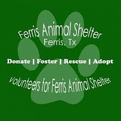 Ferris Animal Shelter - Ellis County