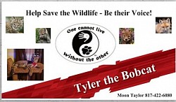 Tyler's Banner - Be A Voice for the Wildlife