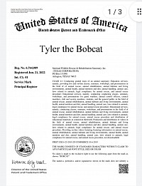 Tyler the Bobcat- officially Trademark