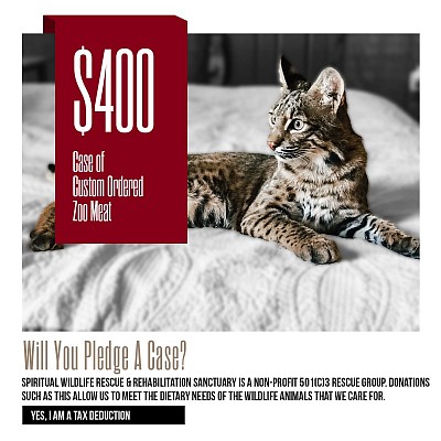 Pledge a case of custom Zoo Meat